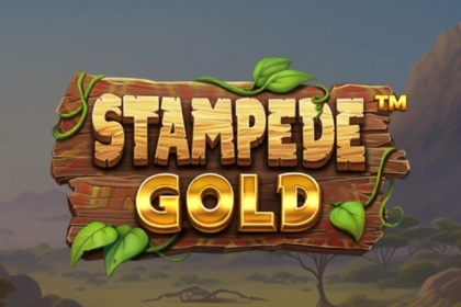 02236 stampede gold