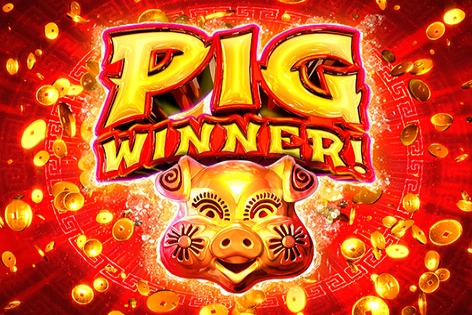 20562 pig winner